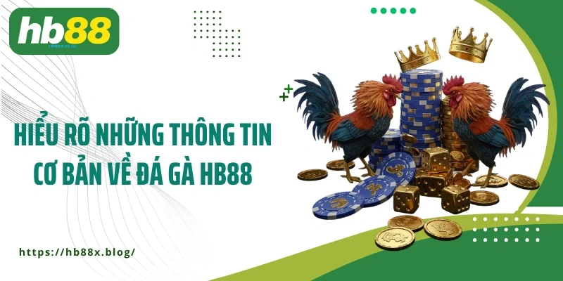 Hiểu rõ những thông tin cơ bản về đá gà HB88