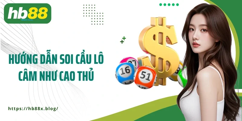 Hướng dẫn soi cầu lô câm như cao thủ