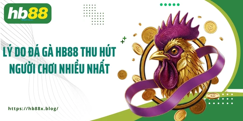 Lý do đá gà HB88 thu hút người chơi nhiều nhất