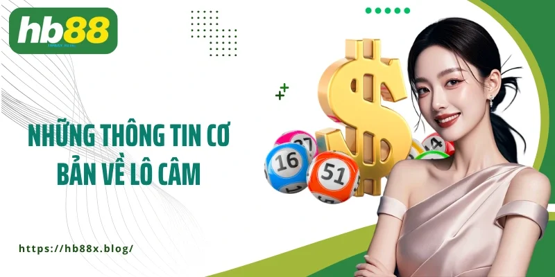 Những thông tin cơ bản về lô câm