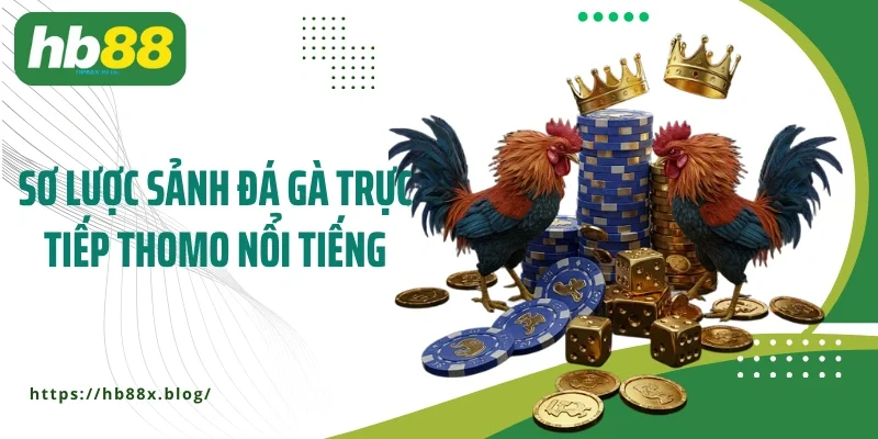 Sơ lược sảnh đá gà trực tiếp Thomo nổi tiếng