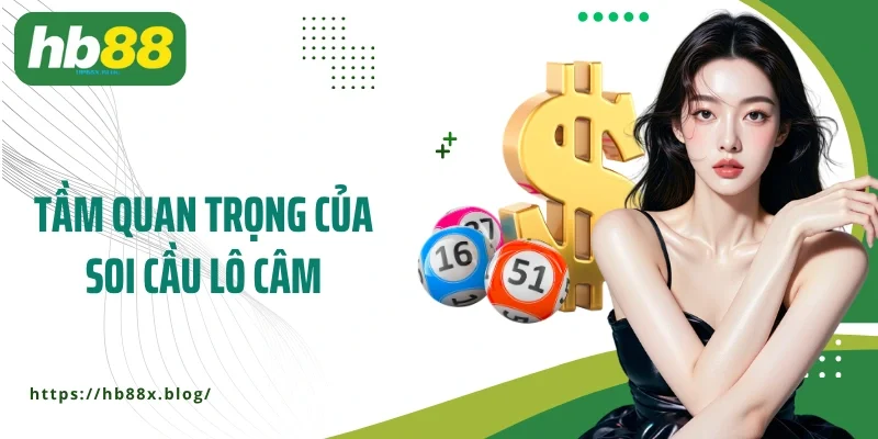 Tầm quan trọng của soi cầu lô câm